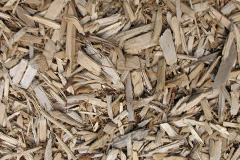 biomass boilers Leadendale