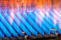 Leadendale gas fired boilers